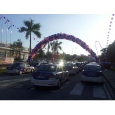 Helium balloon netting arch & release